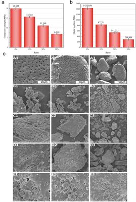 Effect of an α-calcium sulfate hemihydrate/treated dentin matrix composite to regenerate bone in critically sized SD rat calvarial defects